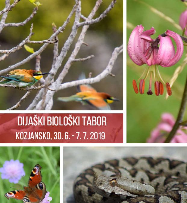 Vabilo na dijaški biološki tabor