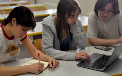 Sodelovanje na natečaju projekta GoChile