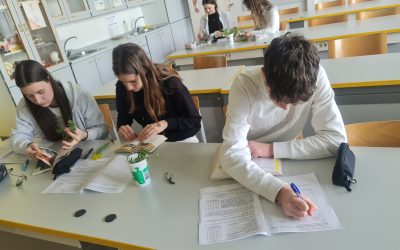 Naravoslovje v 2. letniku gimnazije
